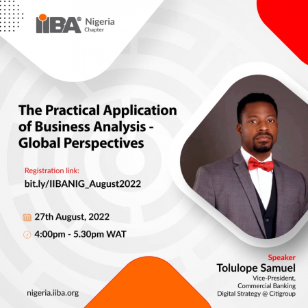 The Practical Application of Business Analysis - Global Perspectives
